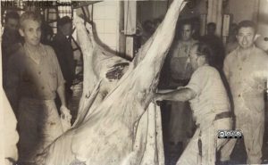 Matadero1