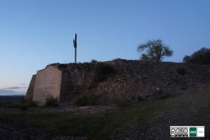dsc07282