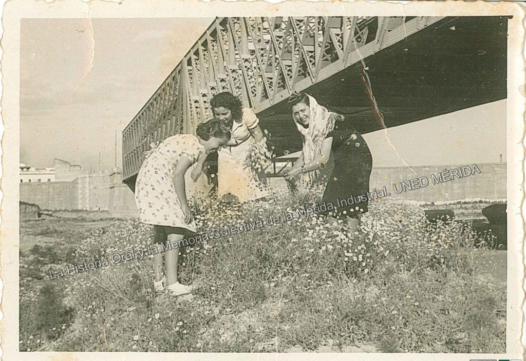 cogiendo-flores-puente-de-hierro-0