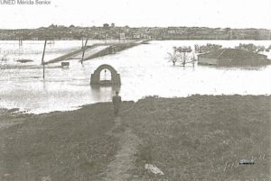 CRECIDA GUADIANA VISTA DESDE EL POLIGONO 19471
